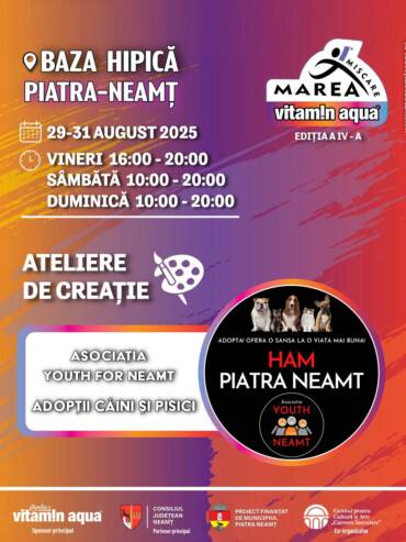 Ateliere De Creație Final 17