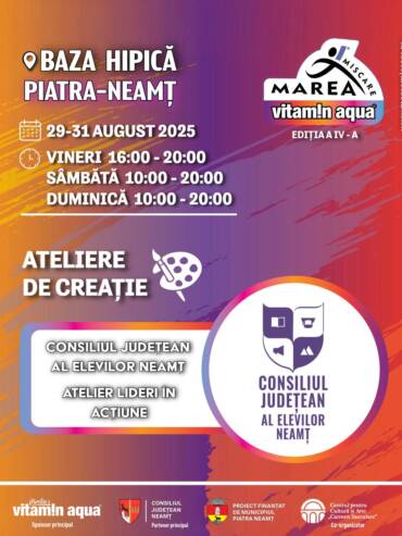 Ateliere De Creație Final 33