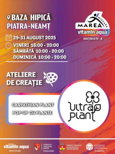 Ateliere De Creație Final 34
