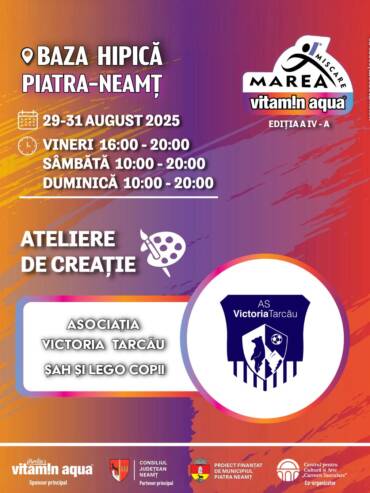 Ateliere De Creație Final 6