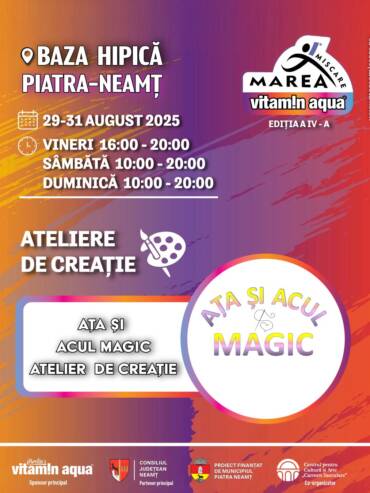 Ateliere De Creație Final 9