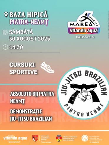 1 Absoluto BJJ