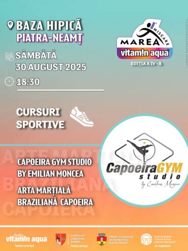 16 Capoeira